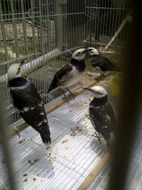 img_20150325_1238055b15d-2240997