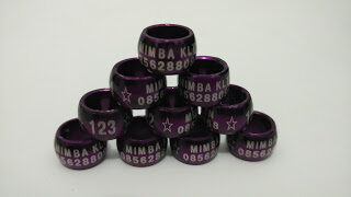 img_20150821_043548255b1255d-7027465