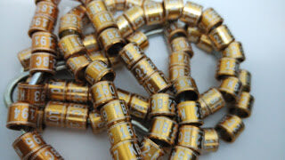 img_20150821_215227255b1255d-2431429