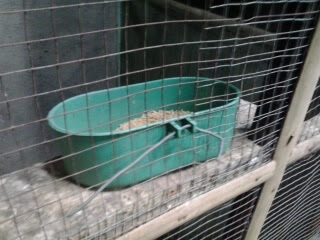 2012-11-182b13-49-51-7224278