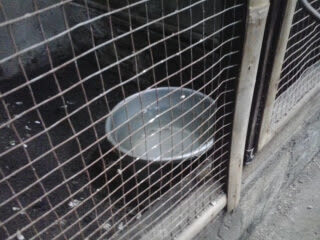 2012-11-182b13-50-11-7795153