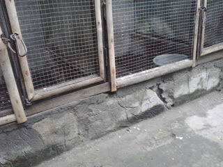 2012-11-182b13-50-47-1291756