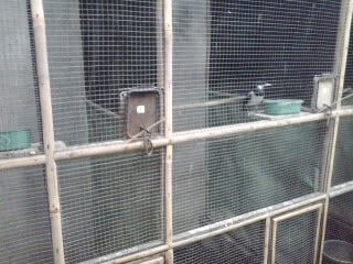 2012-11-182b13-51-16-9549575