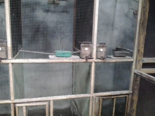 2012-11-182b13-53-27-8715577