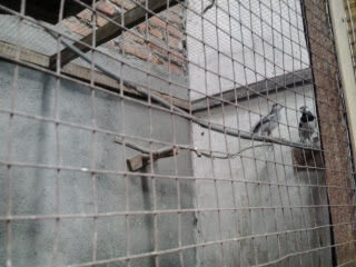 2012-11-182b13-55-09-5127413