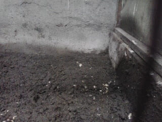 2012-11-182b13-55-49-1104797