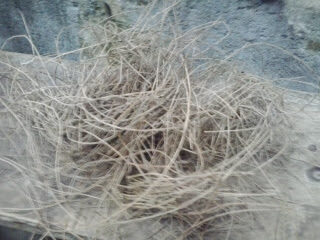 2012-11-182b13-59-56-7530562