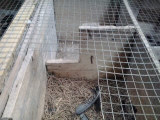 2012-11-182b14-00-55-4000983