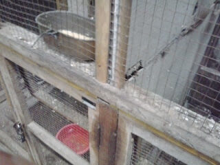 2012-11-182b14-04-07-6723580