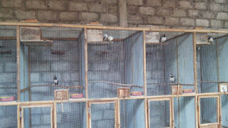 img_20140710_164216-5346532