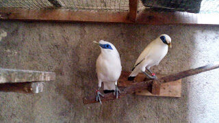 img_20141121_163253-9374147