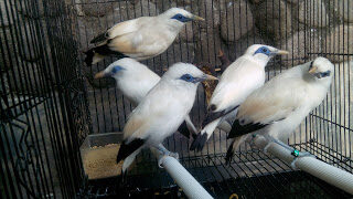 img_20150522_164103-2694762