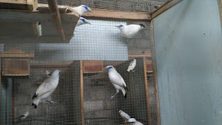 img_20151004_165539-7061632