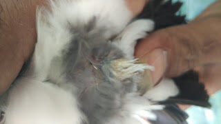 img_20160129_123649-3673885