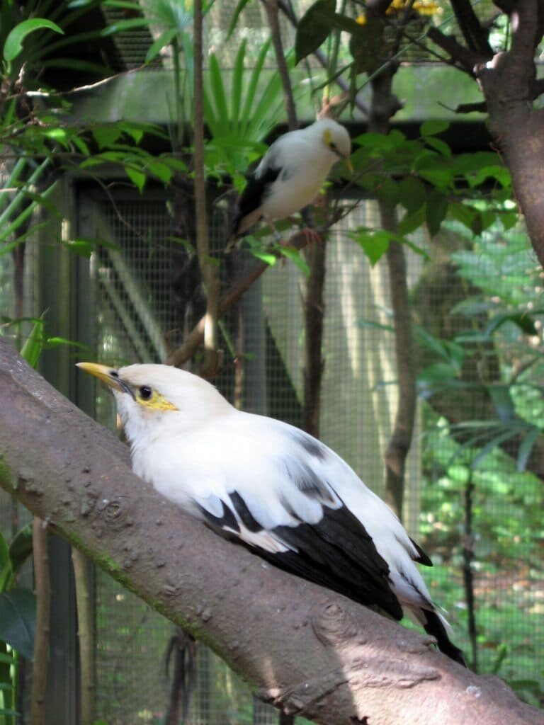 kamis5-768x1024-3270657