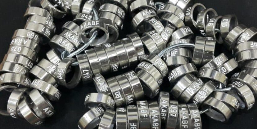 ketok-manual-bahan-baja-model-pendek-tulisan-satu-baris-9634439