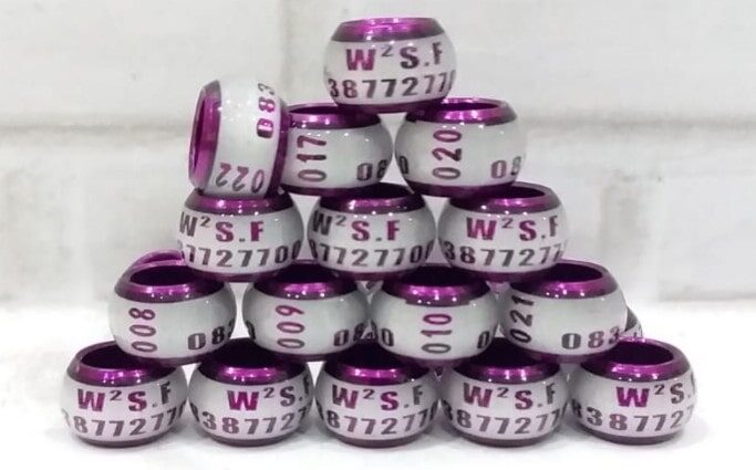 laser-block-donat-tulisan-dua-baris-8433713