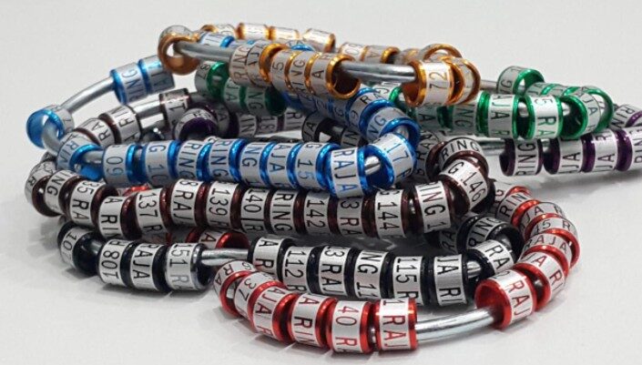 laser-block-tulisan-satu-baris-6563420