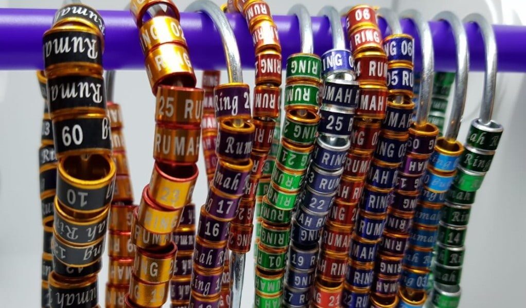 laser-mata-kucing-tulisan-satu-baris-6640470