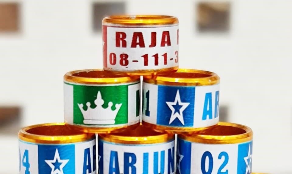 mata-kucing-laser-block-5241873