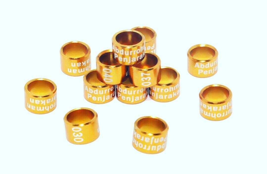 model-laser-standar-tulisan-dua-baris-atau-susun-4987249