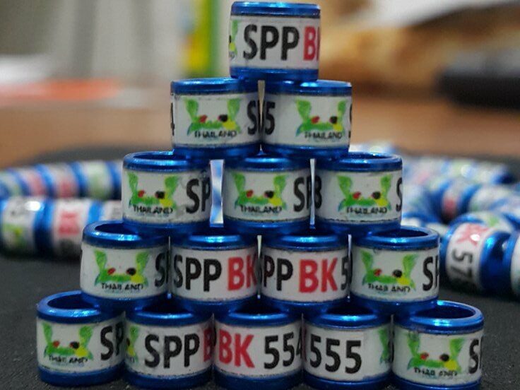 model-roda-sticker-tulisan-satu-baris-gambar-edited-5922787