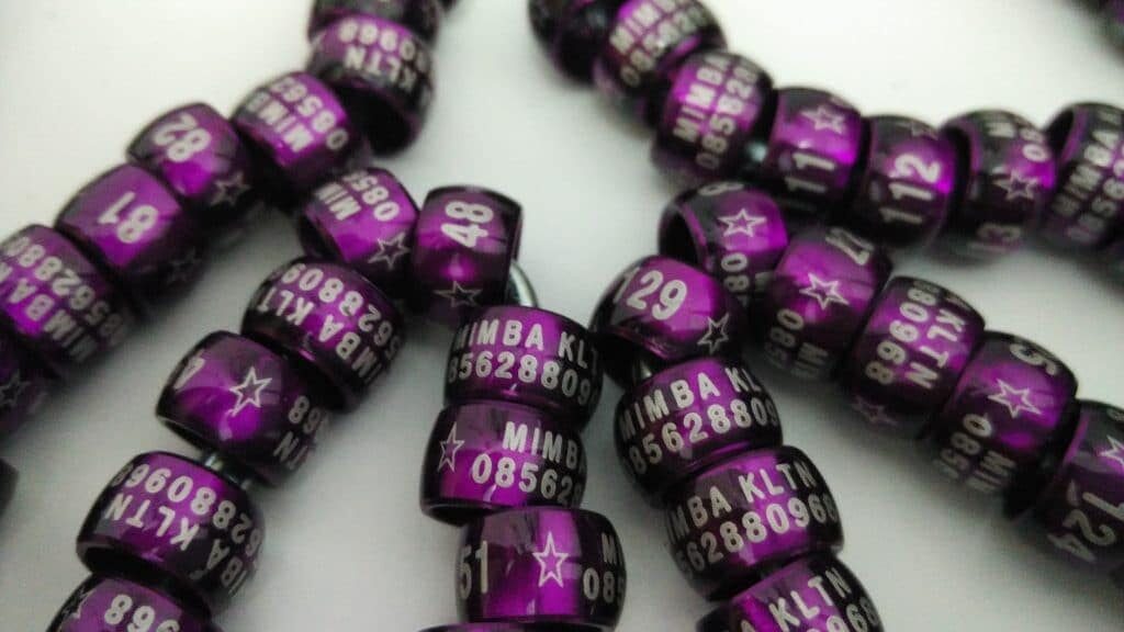 ring-burung-model-donat-9738360