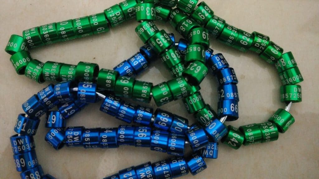 ring-burung-model-laser-dua-baris-atau-susun-8947579