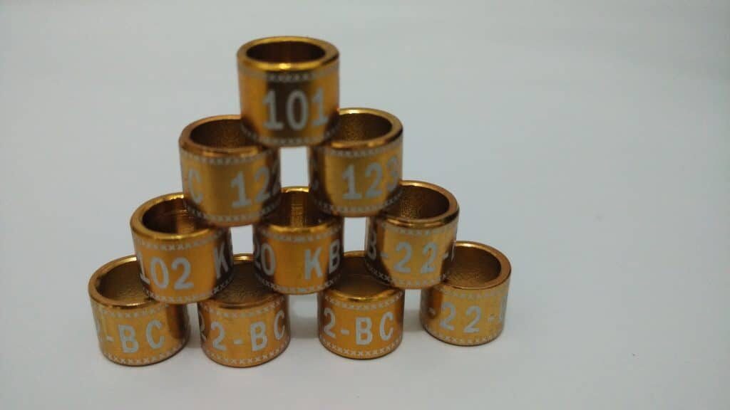 ring-burung-model-laser-list-2-6595879