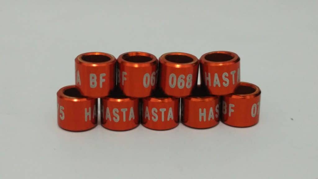 ring-burung-model-laser-satu-baris-2-6328510