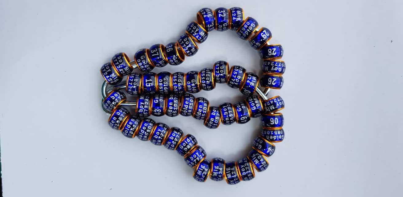 laser-mata-kucing-donat-4372395