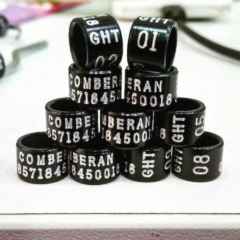 model-grafir-susun-3191046