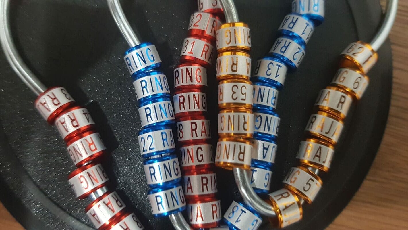 model-laser-blok-satu-baris-1-edited-2185504