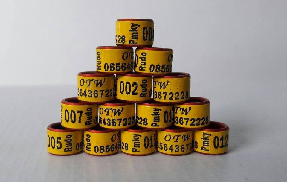 powder-coating-kuning-merah-7787522