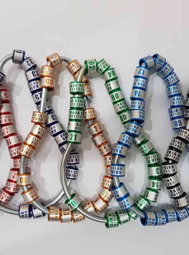 ring-burung-laser-block-edited-6272149