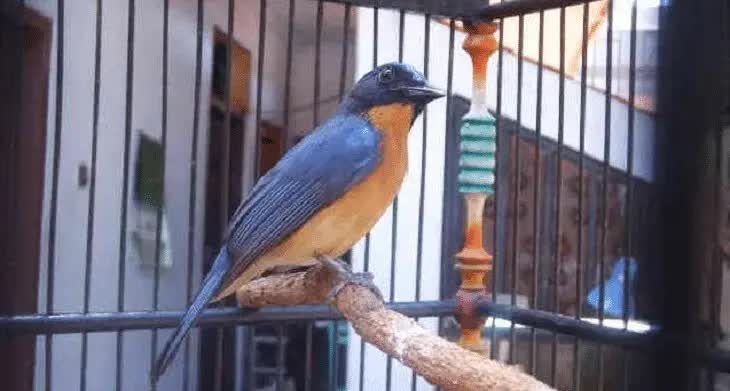 pemandian-dan-penjemuran-1536621