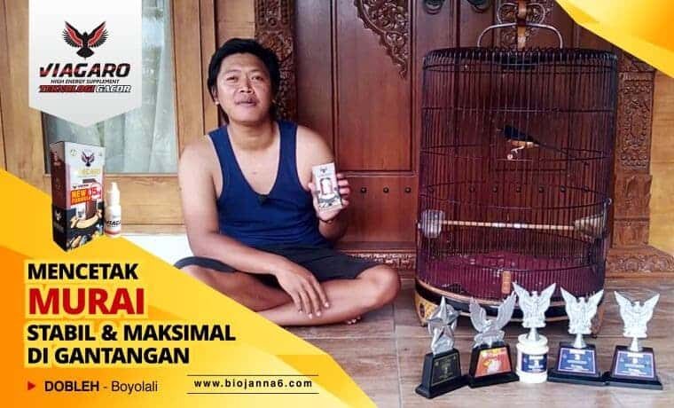 viagaro-new-formula-3568694