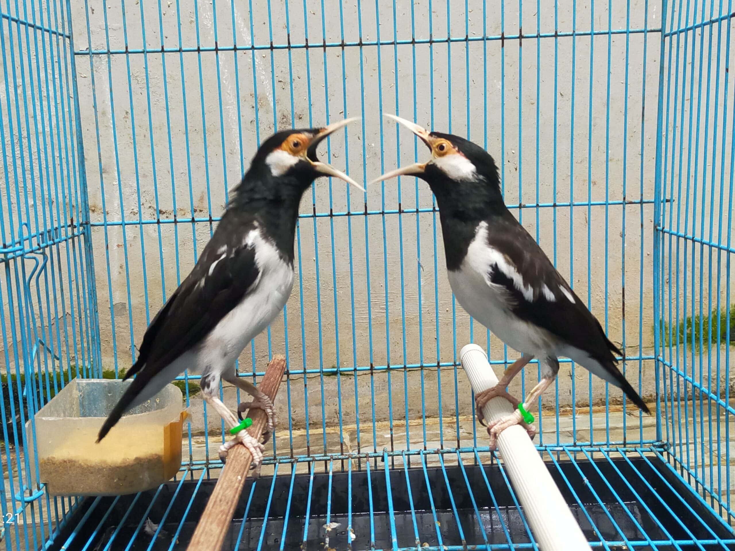 img_20230404_040937-scaled-4-8284924