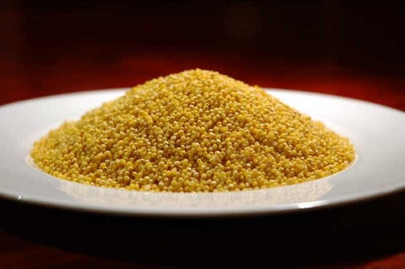 jenis-pakan-burung-cockatiel-4688945