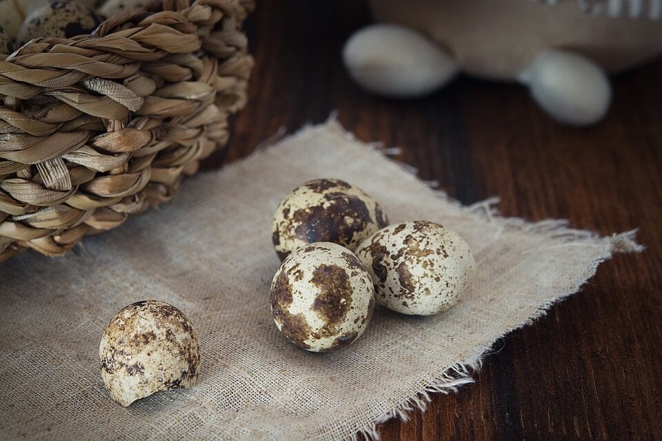 quail-eggs-1247388_960_720-9228085