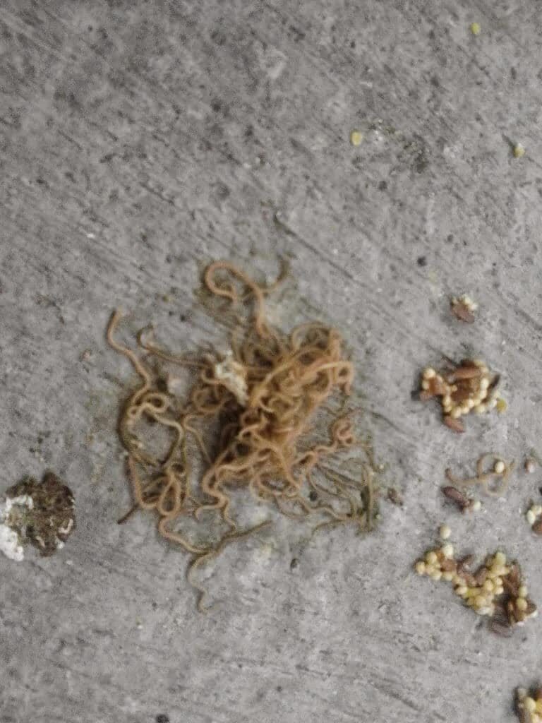 selasa11-768x1024-3149813