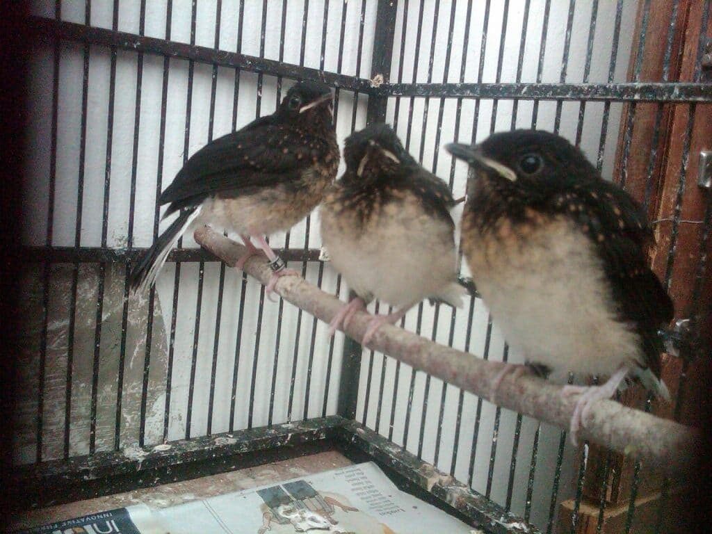 img00298-20111111-0613-3584060