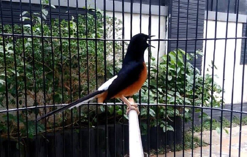 kenali-lebih-dalam-kelebihan-dan-kekurangan-suntik-putih-6679629