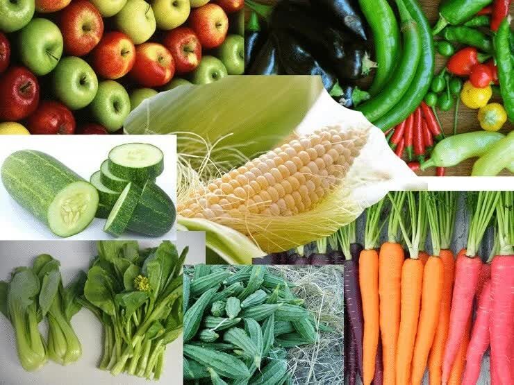 makanan-tambahan-kenari-merah-7223599