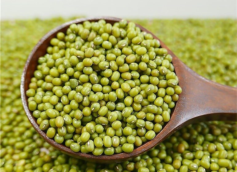 manfaat-kacang-hijau-untuk-lovebird-1948031